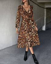 Leopard / Zebra Print Long Sleeve V-Neck Casual Maxi Dress