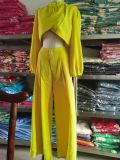 Autumn Casual Solid Color Long Sleeved Crop Top + Bell Bottom Trousers Two Piece Outfit
