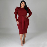 Autumn Winter Solid Color Basics Long Sleeve Plus Size Midi Dress