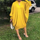 Autumn Casual Print Loose Cut Plus Size Party Dress