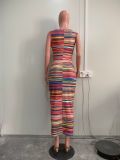 Digital Print Sleeveless Sexy Long Bodycon Dress