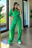 Casual Leopard Print Chic Blouse + High Waisted Matching Pants Two Piece Outfit