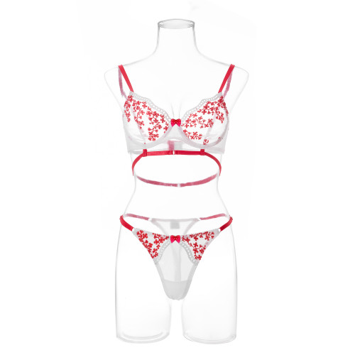 Floral Embroidered Lingerie Bra Sexy Set
