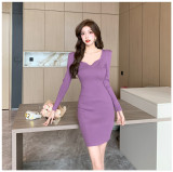 Autumn Winter Casual Solid Color Basic Knitting Mini Dress