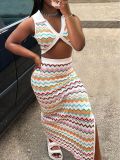 Sexy Contrast Color Vest Slit Skirt Casual Two-piece Set