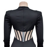 Solid color mesh see-through long-sleeved long evening dress