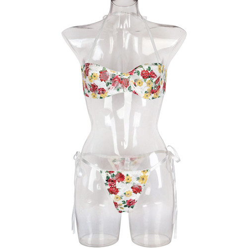 Embroidered sexy printed ribbon bow sexy see-through women's underwear set