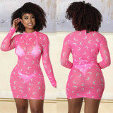 Fashionable and Sexy Mesh Print Long Sleeve Sheer Dress