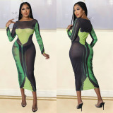 Fashionable and Sexy Mesh Printed Long Sleeve Long Bodycon Dress for Women