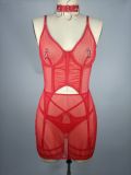 Sexy mesh strap see-through lingerie set