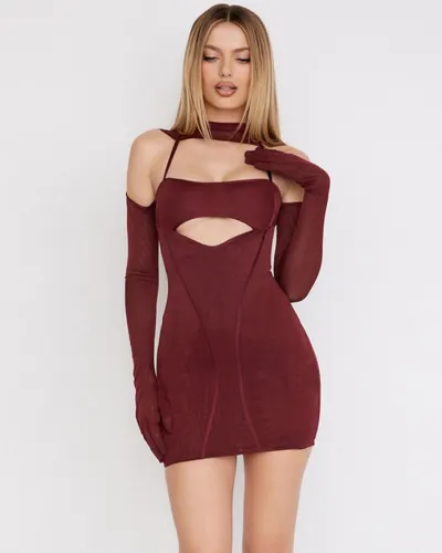 Mesh long-sleeved round neck hollow out sexy dress