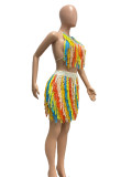 Sexy knitted tassel colorful beach skirt two-piece set