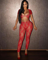 Sexy lace see through jumpsuit