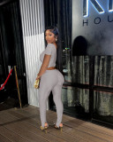Sexy Solid Color V-Neck Bodycon Two Piece Pant Set