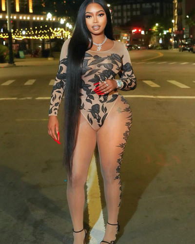 Long Sleeve Bodysuit High Waisted Tights Mesh Print Set