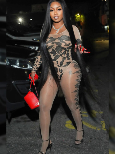 Long Sleeve Bodysuit High Waisted Tights Mesh Print Set