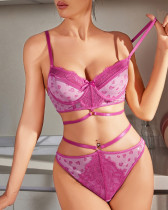 Sexy Lace Push Up Underwired Bra Set Sexy Underwear