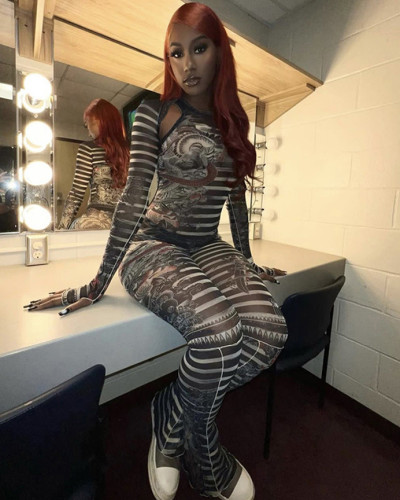 Sexy tight see-through mesh printed two piece pants set
