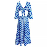 Printed sexy deep V-neck high-waisted long-sleeved strappy women's long dress