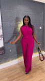 Summer stand-up collar buttoned sleeveless waist tie top wide leg trousers suit