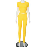 Summer solid color ribbed V-neck short-sleeved top tight pants casual suit
