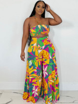 Summer women's tropical clothing printed wide-leg pants two-piece set