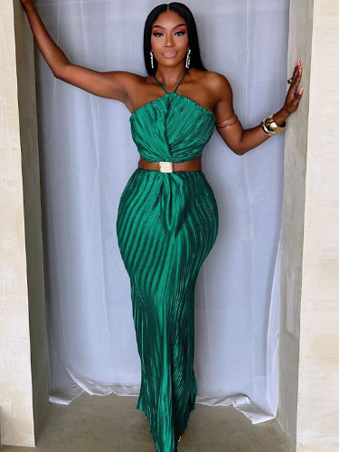 Elegant pleated sexy  back slit evening dress