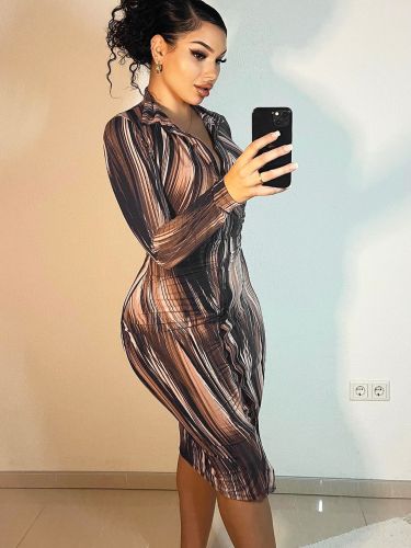 Elegant Printed Button-Down Dress Autumn Long Sleeve Lapel Midi Dress