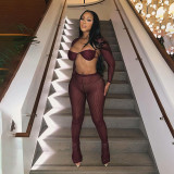 Long-sleeved cropped sexy slim-fit top trousers set