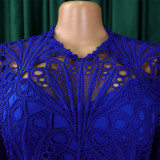 Autumn and winter elegant solid color lace hollow out pleated office dress