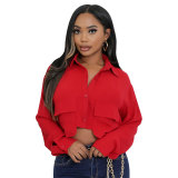 Autumn long sleeve solid color button down blouse