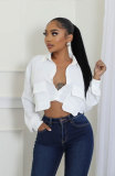 Autumn long sleeve solid color button down blouse