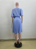 Autumn women's urban commuting elegant dress