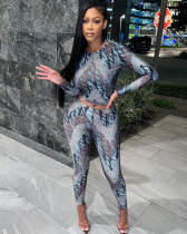 Women round neck long sleeve slim fit top high waist printed trousers set