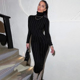 Winter Slim High Neck Long Sleeve Dress Wholesale