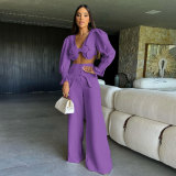 Solid Color Long Sleeve V Neck Open Back Split Two Piece Wide Leg Long Women's Pants Suit