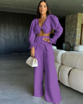 Solid Color Long Sleeve V Neck Open Back Split Two Piece Wide Leg Long Women's Pants Suit