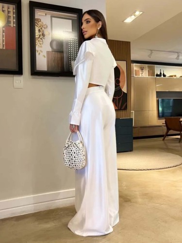 Solid color long-sleeved crop top high waisted trousers two-piece set clothing