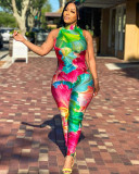 Women sexy tight fitting floral print sleeveless jumpsuit