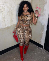 Spring 2025 Women Leopard Print Matching Top + Pants Set