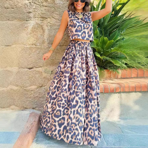 Casual Leopard Print Top + Skirt Two-Piece Set