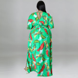 Plus size women's summer deep V neck printed maxi dress