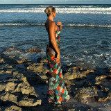 Halter Colour Block Long Dress Holiday Style Slim Backless Long Dress