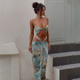 Two-piece bikini sexy printed split women's swimsuit female