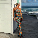 Halter Colour Block Long Dress Holiday Style Slim Backless Long Dress