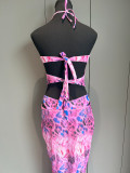 Two-piece bikini sexy printed split women's swimsuit female