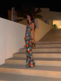 Halter Colour Block Long Dress Holiday Style Slim Backless Long Dress
