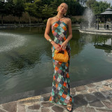 Halter Colour Block Long Dress Holiday Style Slim Backless Long Dress