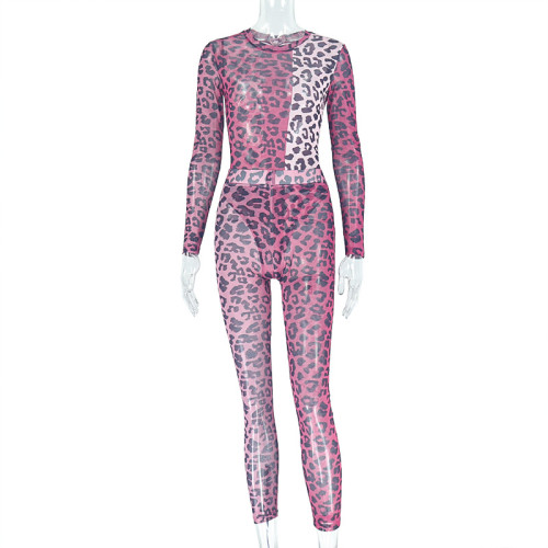 Women's sexy micro-transparent pants suit round neck tight pants elastic two-piece leopard print clothing