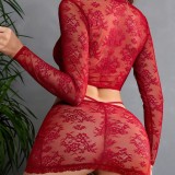 Lace embroidery perspective sexy lingerie three-piece pure desire hollow sexy lingerie